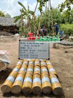 Khảo Sát Địa Chất Huyện Cần Giuộc